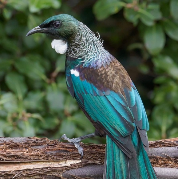 Meet your Posher, Heather - Picture 1 of 1